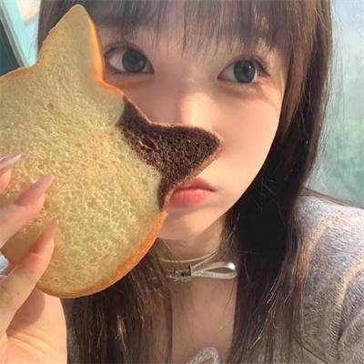 帝企鹅日记